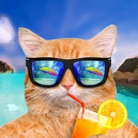 猫咪与小岛 vv1.10