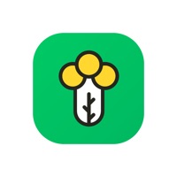 放心优选