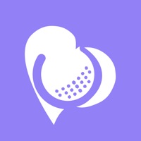 探玩高尔夫