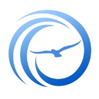 吉鸥进销存