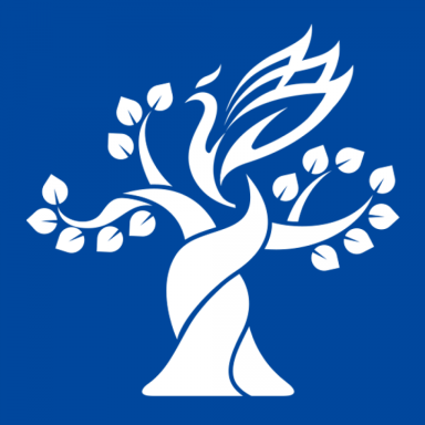 梧桐中文学习