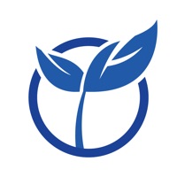 考芽