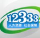 掌上12333 vv1.5.8