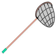 m木糖mCatCat vv1.9