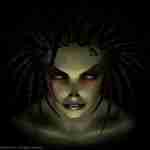 星际争霸:母巢之战