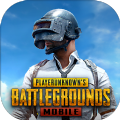 pubgm usa