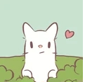 猫咪巴士