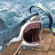 木筏求生饥饿鲨鱼