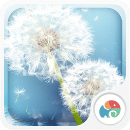 恋上蒲公英梦象动态壁纸安卓V1.2.11 中文版