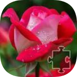 花卉拼图谜题 vv1.0.24