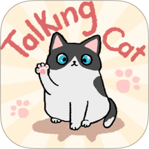 趣味找猫猫中文版