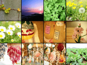 OLYMPUS Image Sharev2.5截图