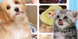 美好生活壁纸秀v1.0.9截图
