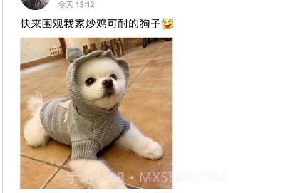 宠乐园( 宠物服务)v1.7截图