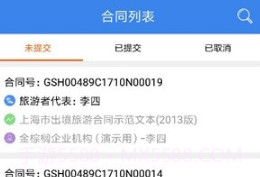 金棕榈钥签v1.0.7截图