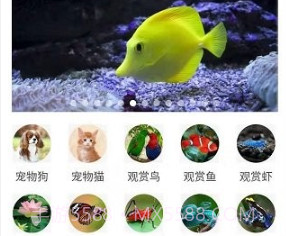 万物识别v2.1.56.6截图