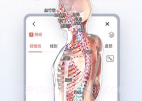 运动功能解剖教学系统V1.0.8截图
