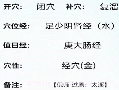 子午经络v1.8截图