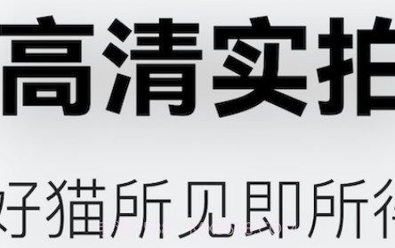 随它v1.0.9截图