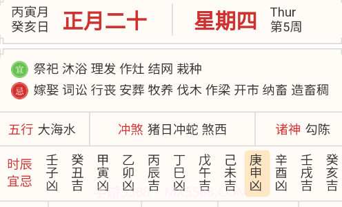 畅享龙运v1.0.10截图