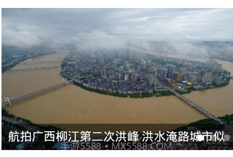光明网手机版v4.3.9截图