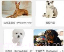 完美刷刷v1.5.11截图