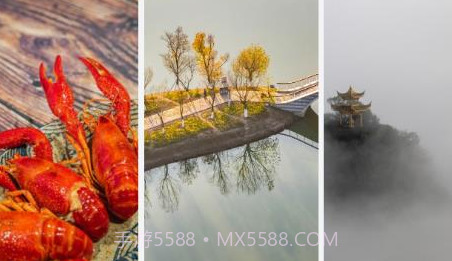 织图影像v1.0.10截图