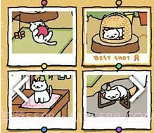 猫咪后院下载中文版v1.8截图