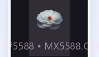 猫去水印V1.0.7截图