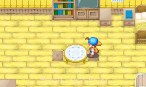 牧场物语：矿石镇的伙伴们女孩版V1.17截图