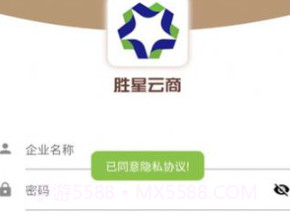 胜星云商v1.1.10截图