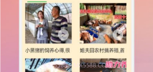 养猪世界v1.13截图