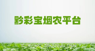 黔彩宝烟农平台v1.1.10截图