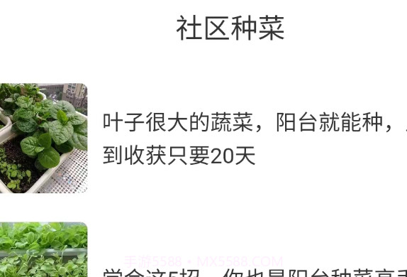 社区菜园子v1.3.11截图