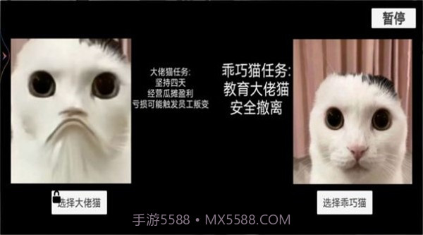 猫猫惊魂夜1.8截图