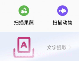 野菊轻处理v1.0.10截图