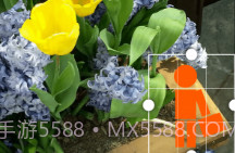 GIF工作室v2.8截图