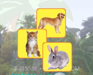 爱动物v5.2.8截图