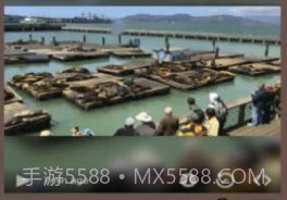 Live Camera Viewer软件v1.7截图