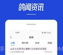青鸽网v3.6.10截图