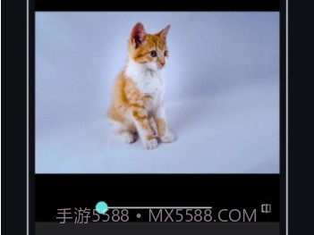 PicsDazz修图v1.9截图