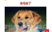 宠物的日记V1.0.6截图