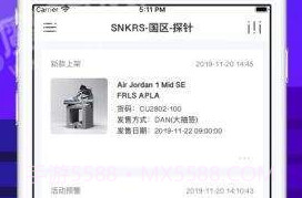 探针营v1.0.8截图