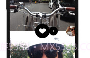 FrontbackV3.3.6截图