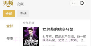 顽石小说v1.9截图