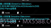 P搜V6.9截图