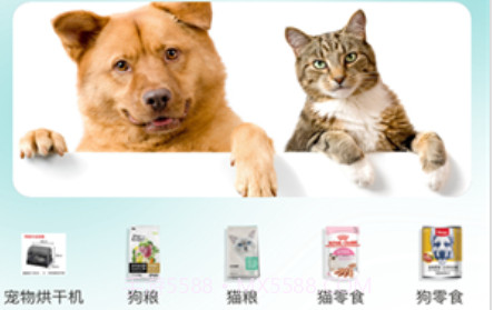 宠友道v1.0.13截图