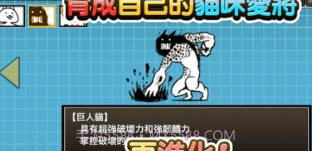 猫咪大陆v1.14.0.13截图