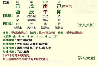 盲派八字v13.0.10截图