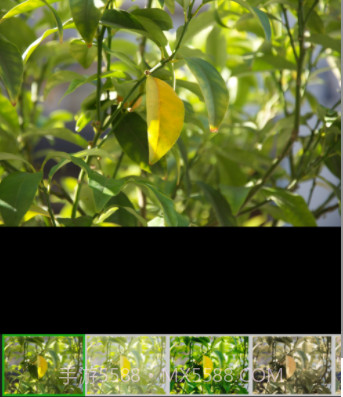 叮当视频图片编辑v1.0.16截图